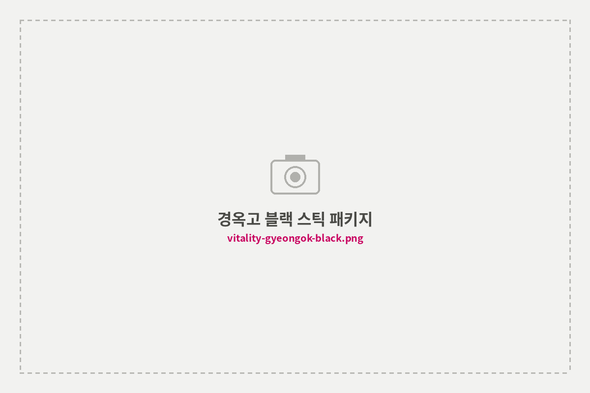 경옥고 블랙 스틱 패키지